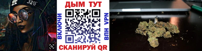 закладка  Переславль-Залесский  Канабис VHQ 